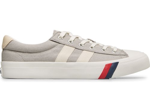 Keds Royal Plus Canvas Sneakers Heren Diepgrijs | BE-18729